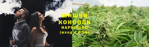 гидра Каменногорск