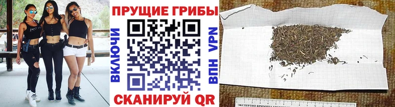 Галлюциногенные грибы мицелий мориарти как зайти Сортавала